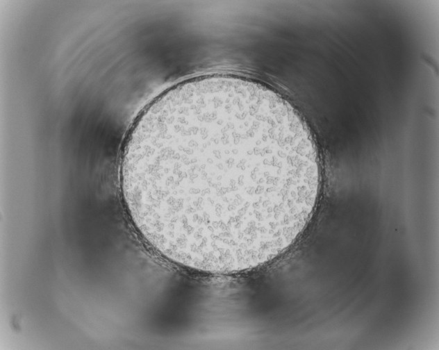 X0000103961316200810171853