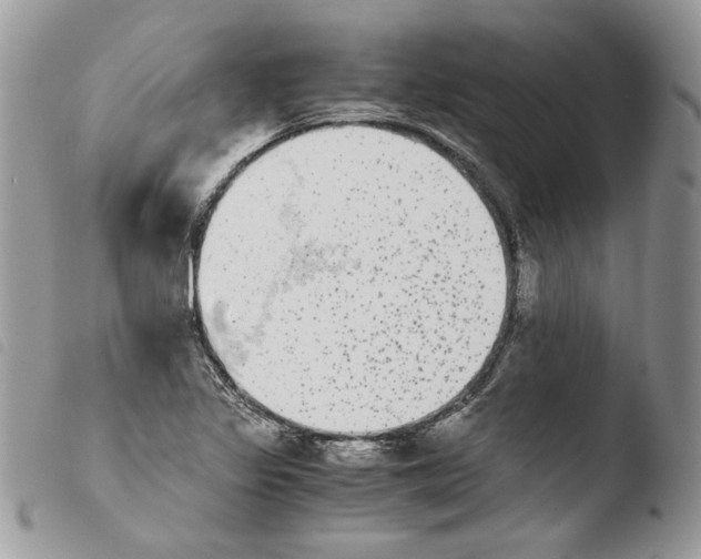 X0000103961317200810171853