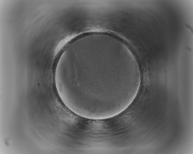 X0000103961319200810171853