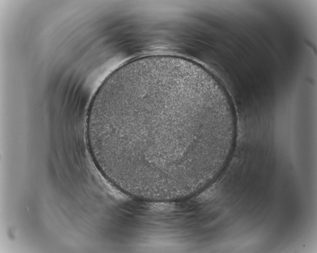 X0000103961333200810171853