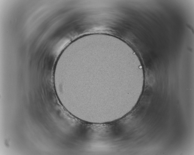 X0000103961336200810171853