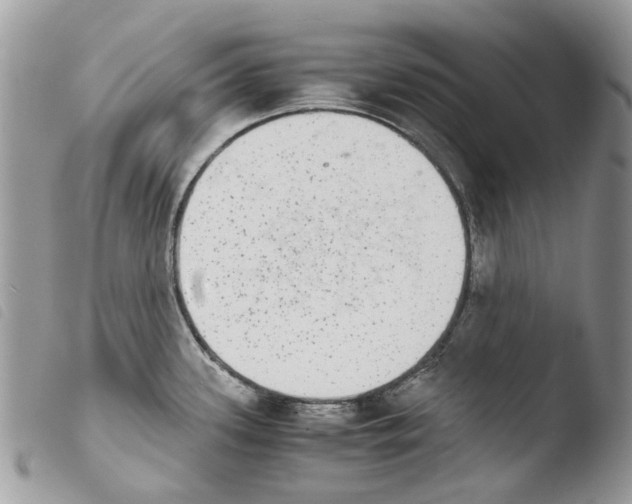 X0000103961339200810171853