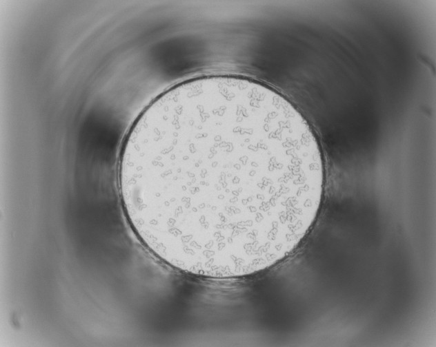 X0000103961342200810171853