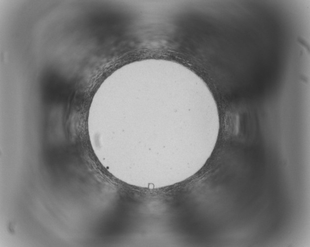 X0000103961348200810171852