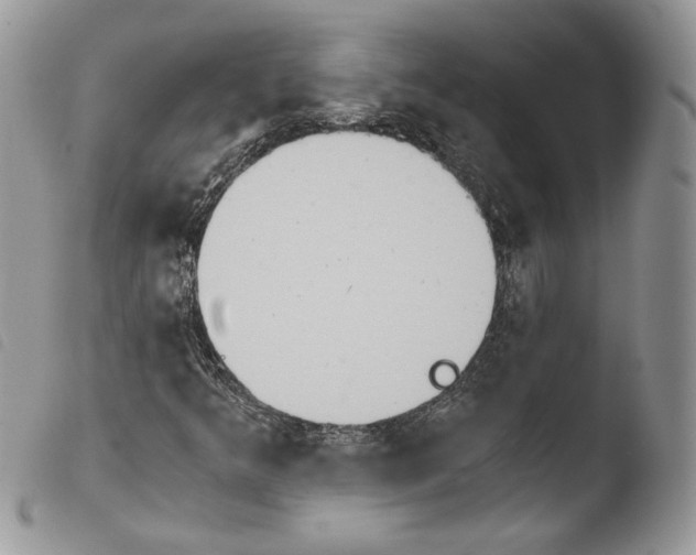 X0000103961349200810171852