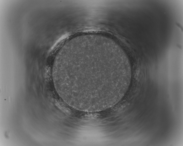 X0000103961351200810171852