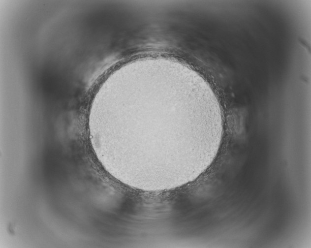 X0000103961352200810171852