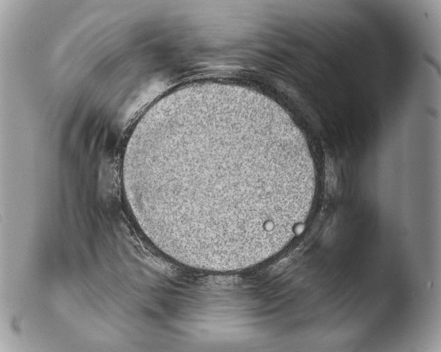 X0000103961354200810171852