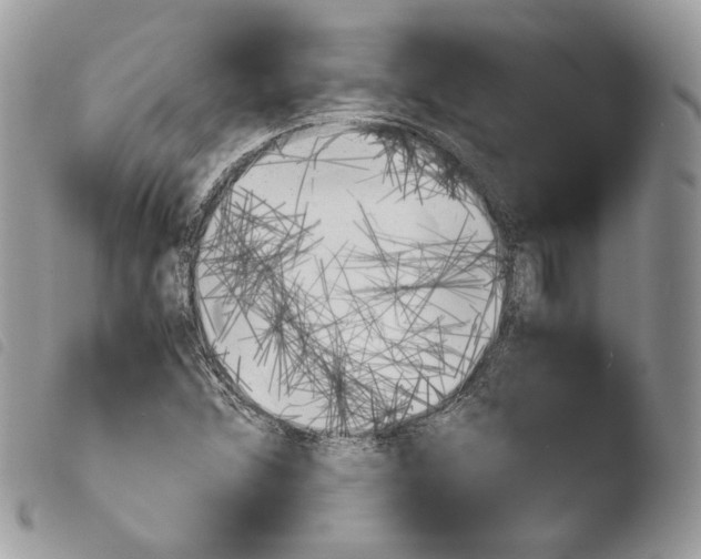 X0000103961356200810171852