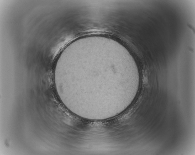 X0000103961357200810171852