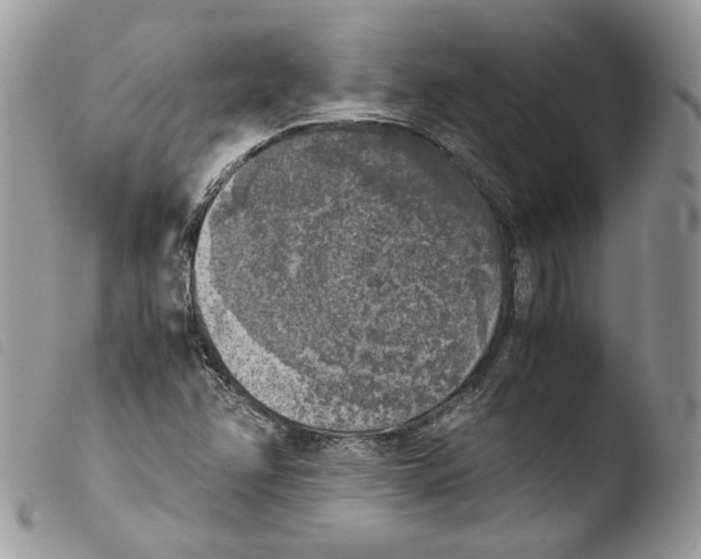 X0000103961358200810171852