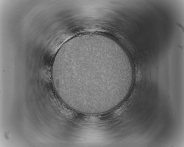 X0000103961361200810171852