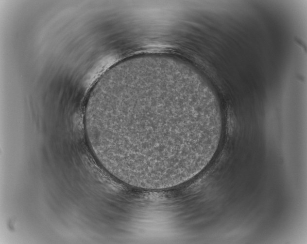 X0000103961362200810171852