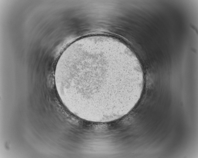 X0000103961363200810171852