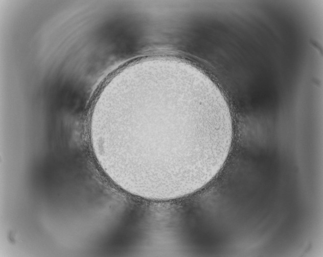 X0000103961364200810171852