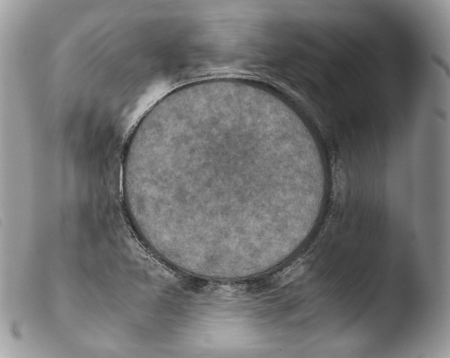 X0000103961365200810171852