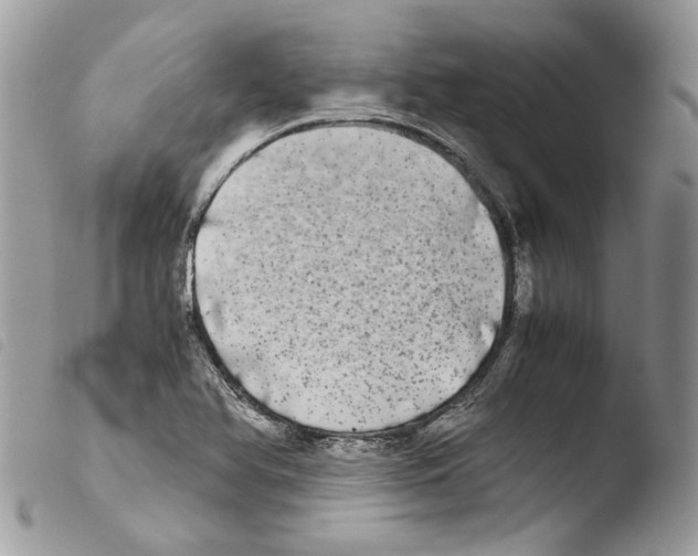 X0000103961366200810171852