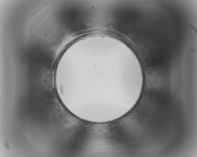 X0000103961368200810171852