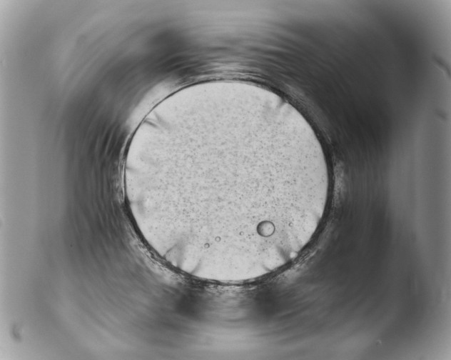 X0000103961370200810171852