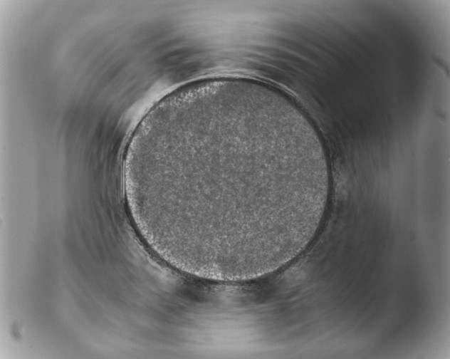 X0000103961371200810171852