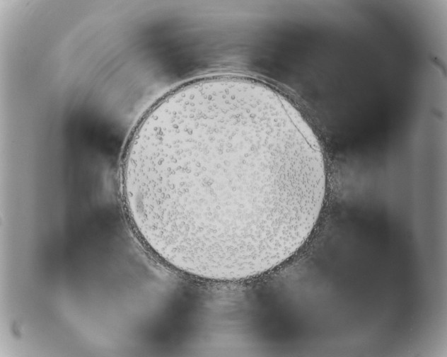 X0000103961372200810171852