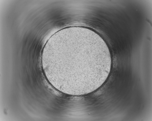 X0000103961374200810171852