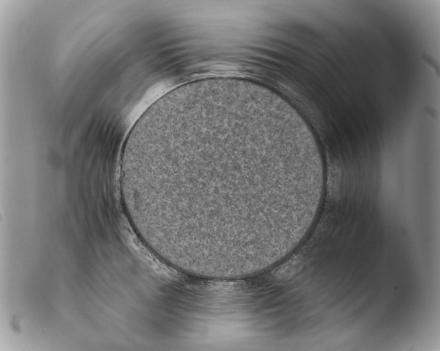 X0000103961378200810171852