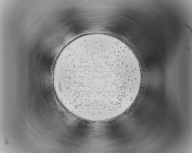 X0000103961380200810171852