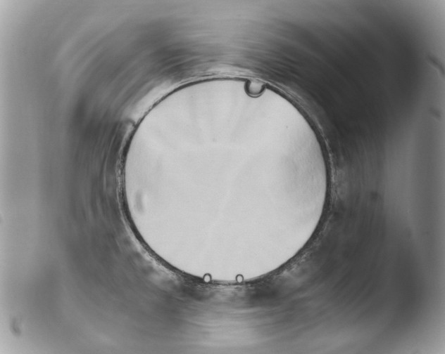 X0000103961381200810171852