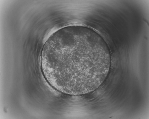 X0000103961383200810171852