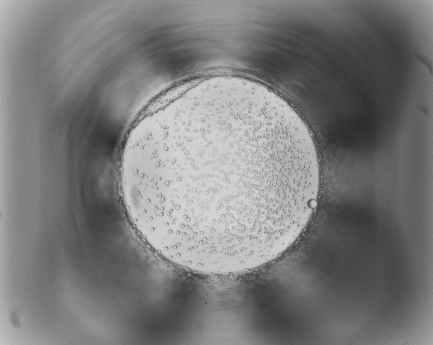 X0000103961384200810171852