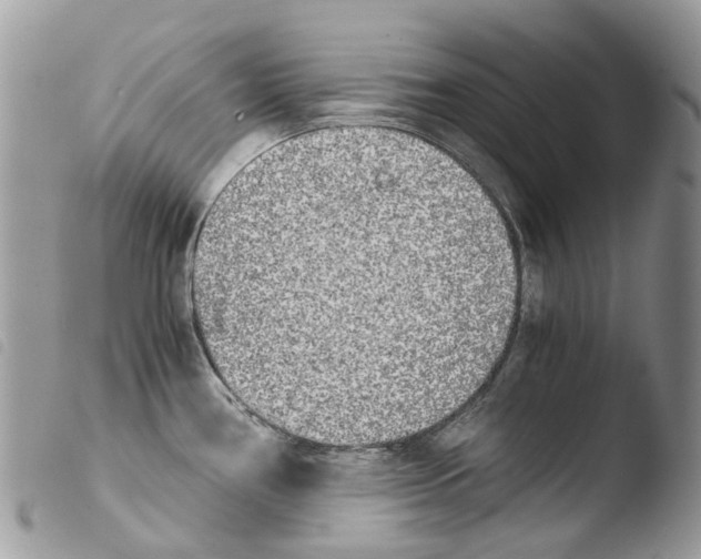 X0000103961386200810171852