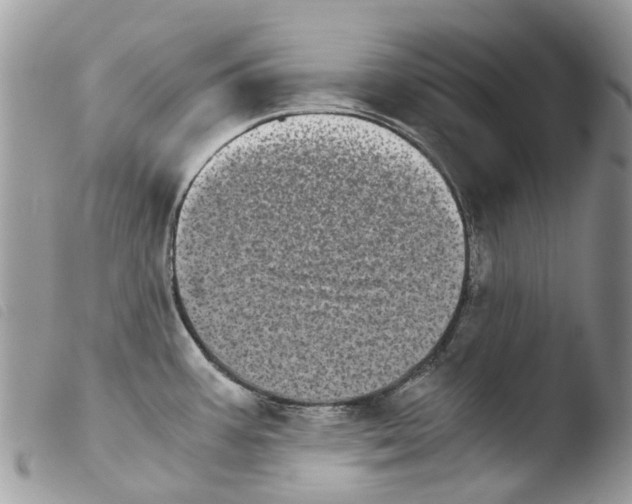 X0000103961387200810171852