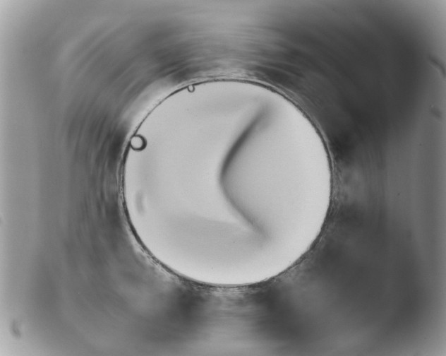 X0000103961389200810171852