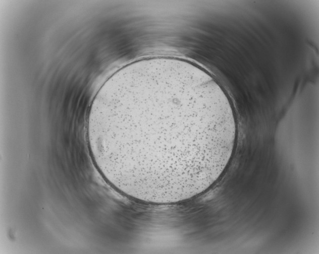 X0000103961390200810171852