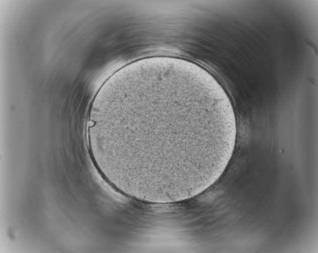 X0000103961391200810171852