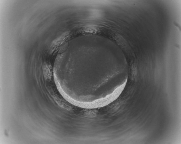 X0000103961394200810171851