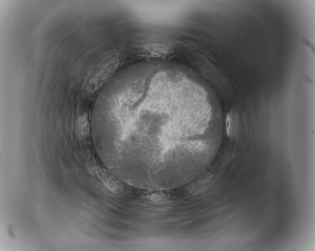 X0000103961395200810171851