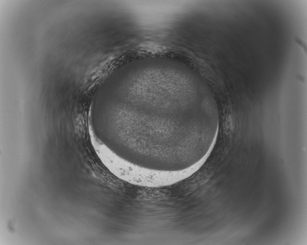 X0000103961397200810171851