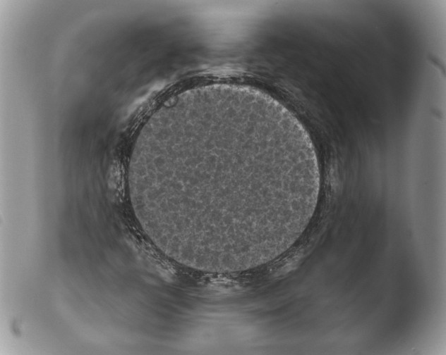 X0000103961398200810171851