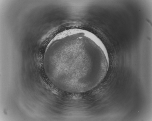 X0000103961399200810171851