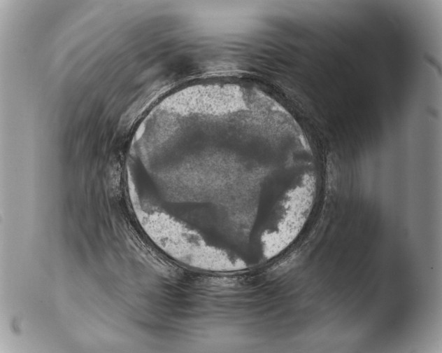 X0000103961401200810171851