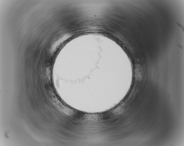 X0000103961402200810171851