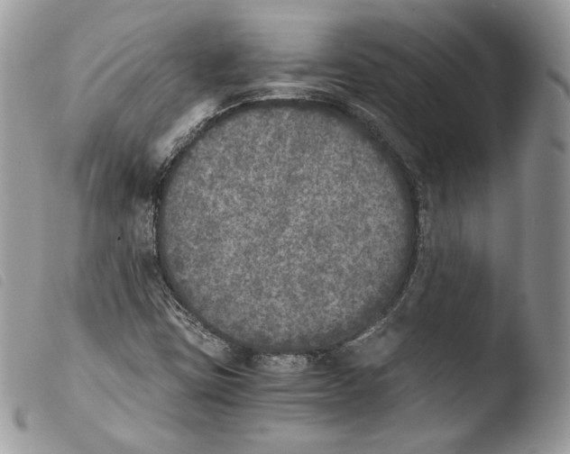 X0000103961403200810171851