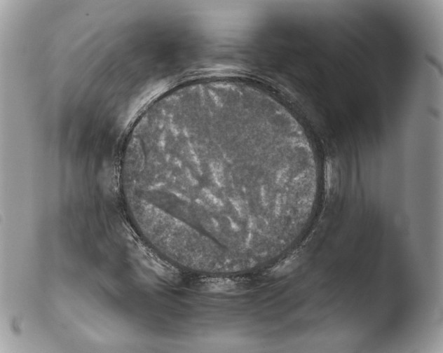 X0000103961405200810171851