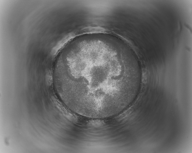 X0000103961407200810171851