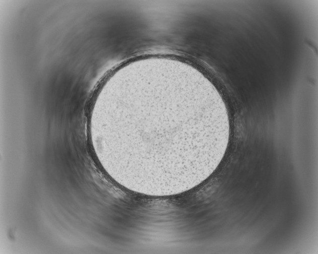 X0000103961408200810171851