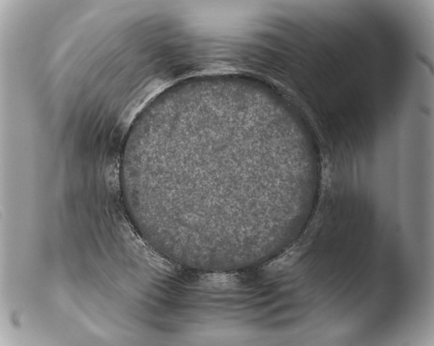 X0000103961409200810171851