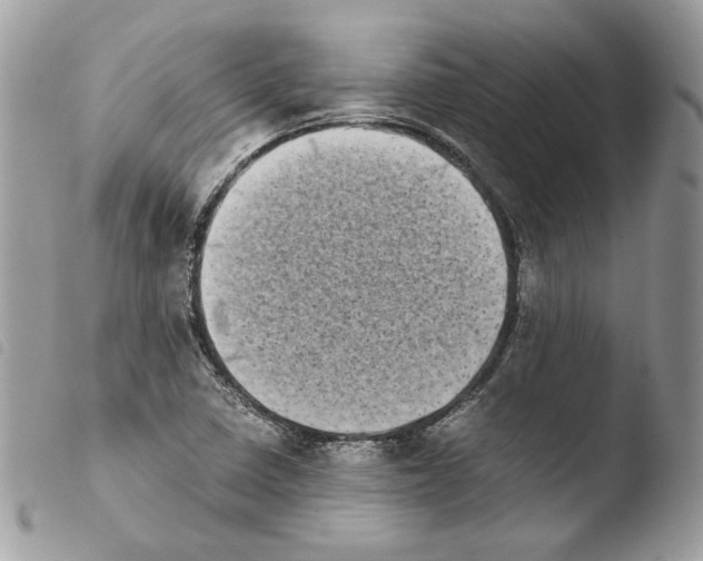 X0000103961410200810171851