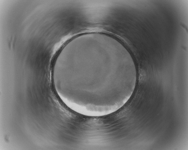 X0000103961414200810171851